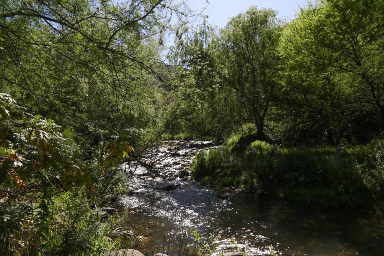 De Oude Meul Country Lodge & Restaurant Oudtshoorn Εξωτερικό φωτογραφία