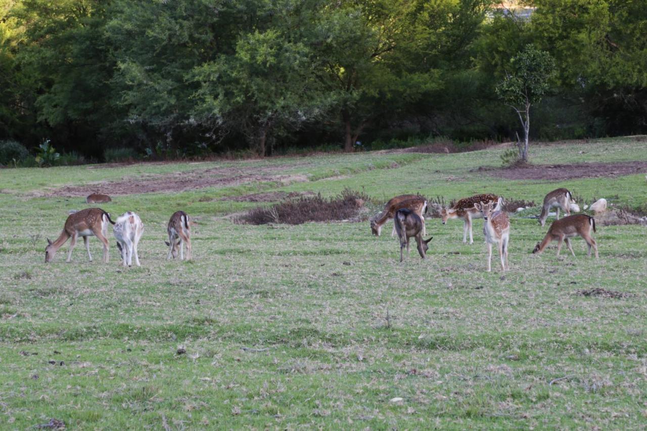 De Oude Meul Country Lodge & Restaurant Oudtshoorn Εξωτερικό φωτογραφία
