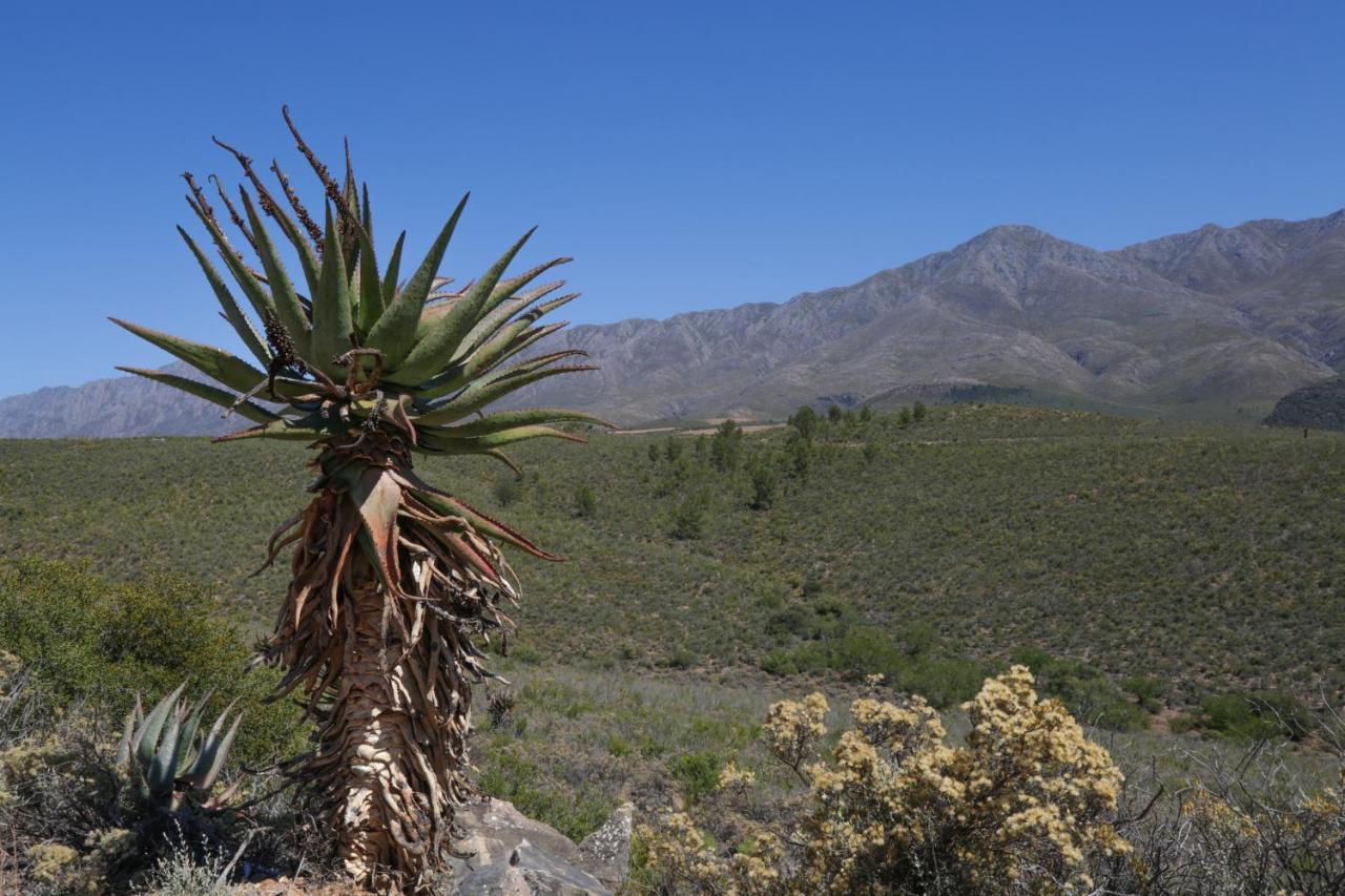 De Oude Meul Country Lodge & Restaurant Oudtshoorn Εξωτερικό φωτογραφία