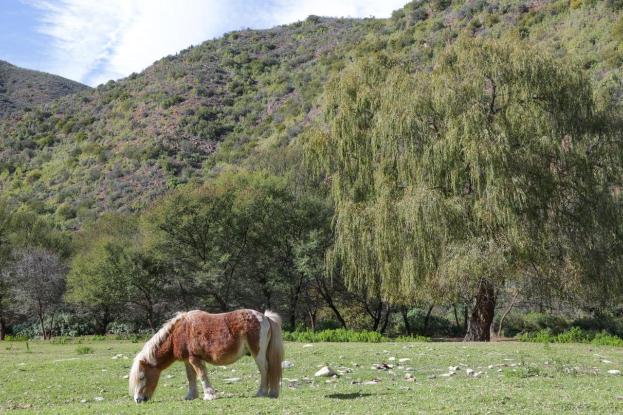 De Oude Meul Country Lodge & Restaurant Oudtshoorn Εξωτερικό φωτογραφία