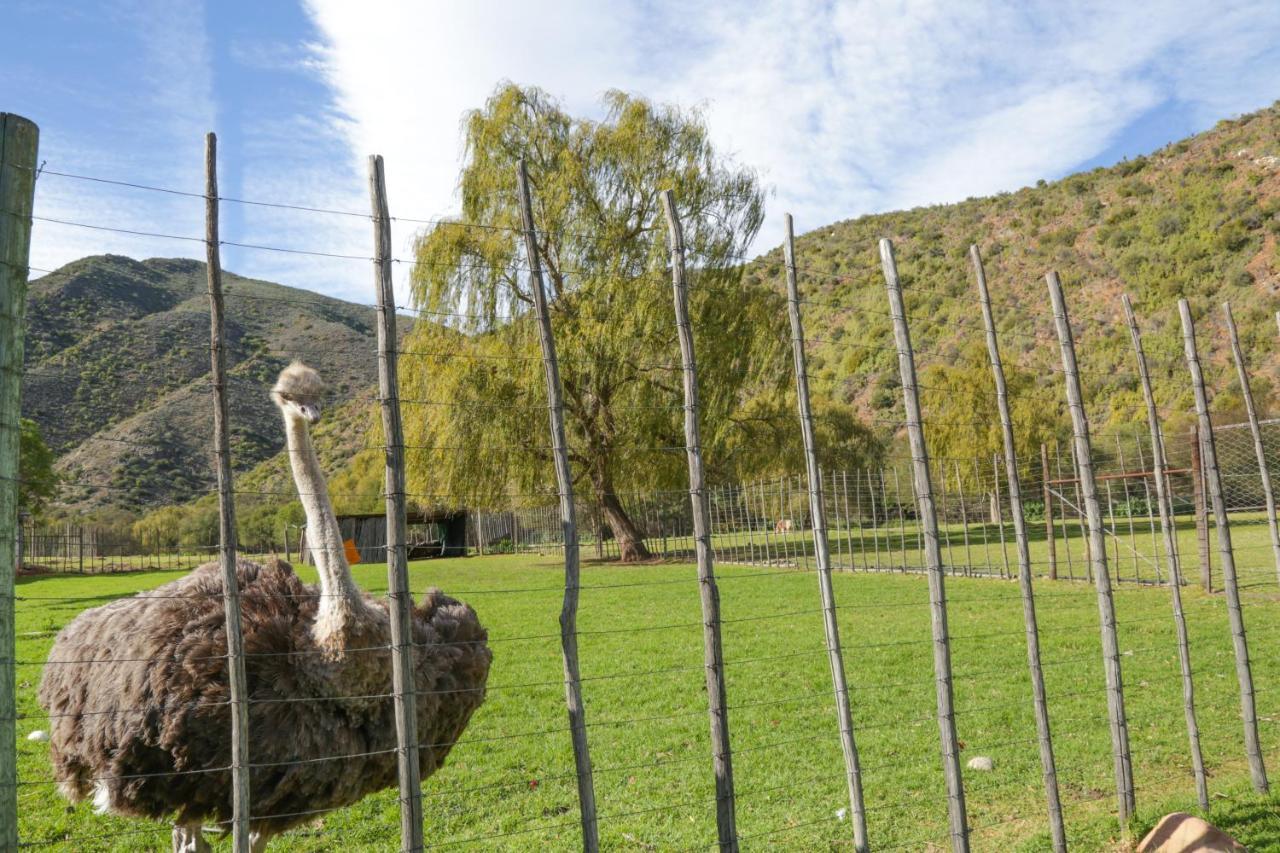 De Oude Meul Country Lodge & Restaurant Oudtshoorn Εξωτερικό φωτογραφία